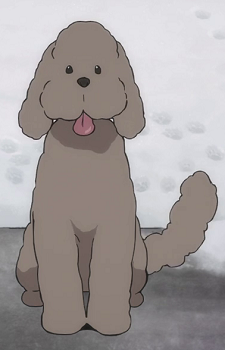 https://static.tvtropes.org/pmwiki/pub/images/makkachin.png