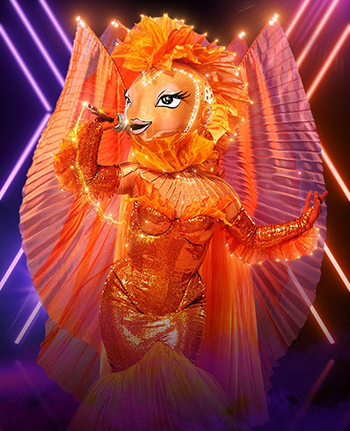 https://static.tvtropes.org/pmwiki/pub/images/maskedsingerausgoldfish.jpg