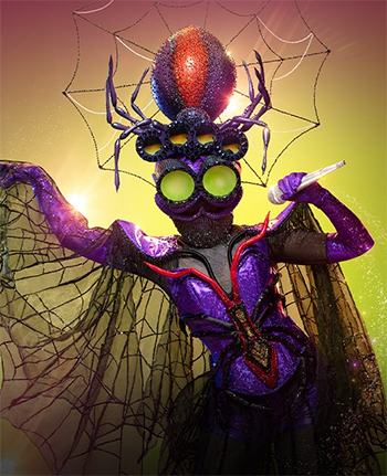 https://static.tvtropes.org/pmwiki/pub/images/maskedsingerspider.jpg