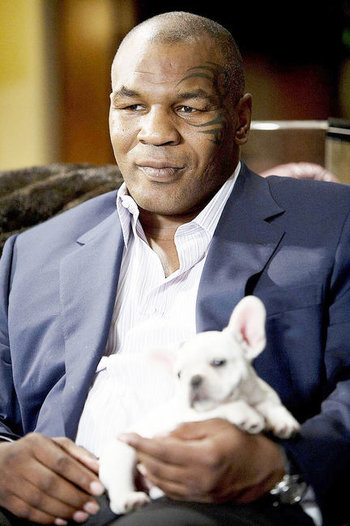 https://static.tvtropes.org/pmwiki/pub/images/mike_tyson_09.jpg