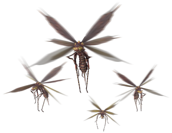 https://static.tvtropes.org/pmwiki/pub/images/monster_hunter_vespoid_8008.png