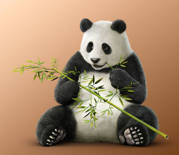 https://static.tvtropes.org/pmwiki/pub/images/panda_t71.jpg