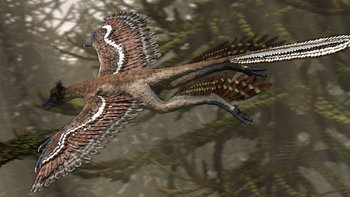 https://static.tvtropes.org/pmwiki/pub/images/pdmicroraptor.jpg