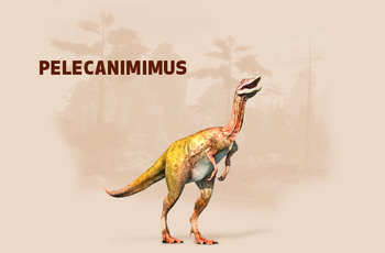 https://static.tvtropes.org/pmwiki/pub/images/pelecanimimus.jpg