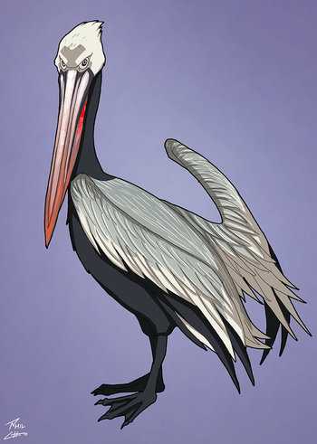 https://static.tvtropes.org/pmwiki/pub/images/pelican_stalker.jpg