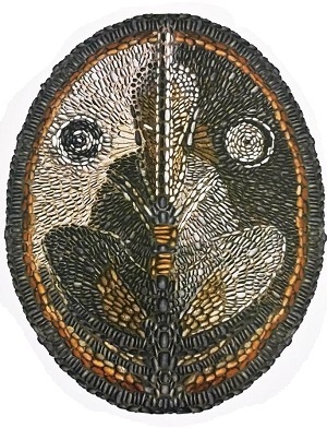 https://static.tvtropes.org/pmwiki/pub/images/prime_jedi.jpg