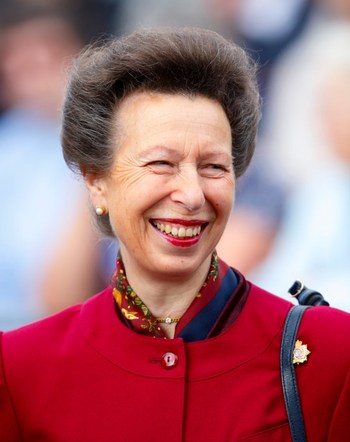 https://static.tvtropes.org/pmwiki/pub/images/princess_anne2.jpg