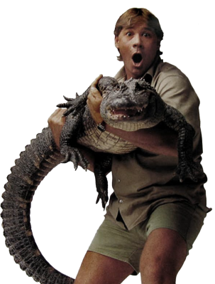 https://static.tvtropes.org/pmwiki/pub/images/rip_steve_irwin_psd_459152.png