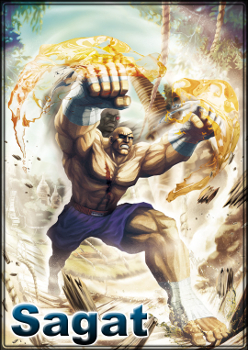 https://static.tvtropes.org/pmwiki/pub/images/sfxtk_sagat.jpg