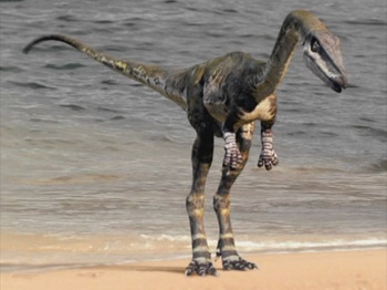 https://static.tvtropes.org/pmwiki/pub/images/sm_coelurosaur.jpg