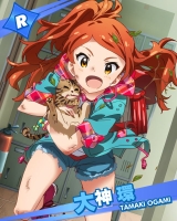 https://static.tvtropes.org/pmwiki/pub/images/tamakiogamir_5916.jpg