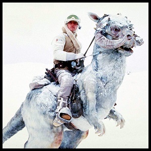 https://static.tvtropes.org/pmwiki/pub/images/tauntaun.jpg