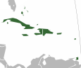 https://static.tvtropes.org/pmwiki/pub/images/the_caribbean.png
