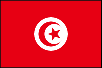 https://static.tvtropes.org/pmwiki/pub/images/tunisia_flag_1159.png