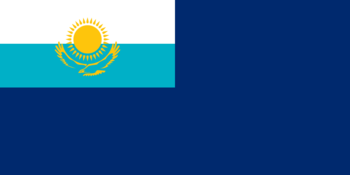 https://static.tvtropes.org/pmwiki/pub/images/variant_kazakh_flag.png
