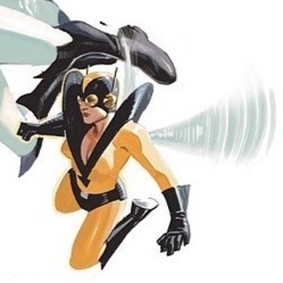 https://static.tvtropes.org/pmwiki/pub/images/yellowjacket_19.jpg