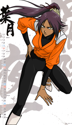 https://static.tvtropes.org/pmwiki/pub/images/yoruichi_shihouin_full1397510.jpg
