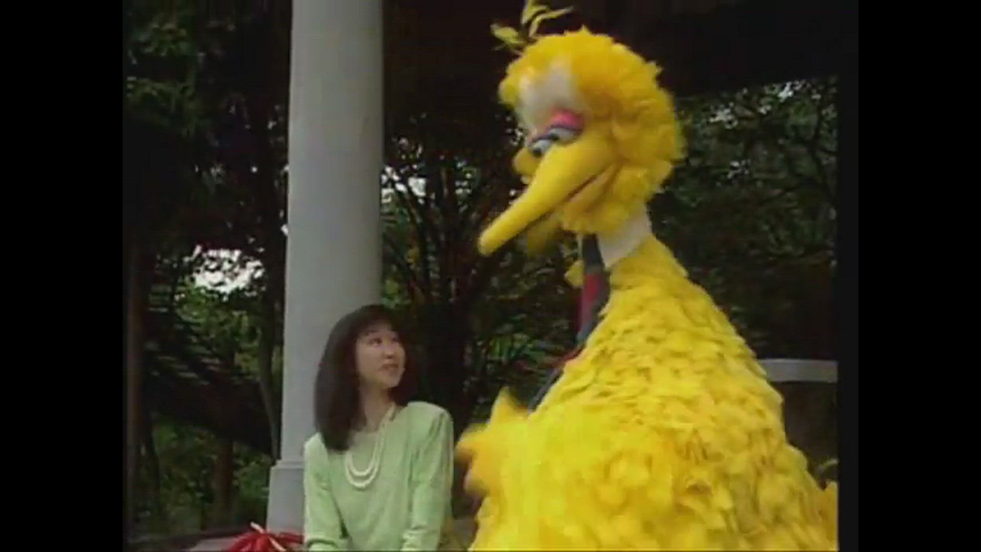 Sesame Street Big Bird In Japan Dvd Big Bird in Japan (Film) - TV Tropes